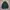 Knitwear Polo Knit Pattern by Visavis photo 3