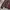 Knitwear Halfzip Pattern 3D by Lindbergh photo 7
