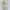 Mint Green Floral Button Dress Brand Jagoowa Made in Korea photo 1