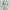 Mint Green Floral Button Dress Brand Jagoowa Made In Korea