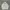 Hoodie Thisisneverthat Spellout Second