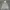Hoodie The Beatles ziper second photo 1