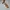 SODA LOAFERS  SHOES  photo 6