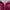 Casual Jumpsuit Wanita Burgundy