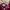 Casual Jumpsuit Wanita burgundy photo 3