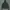 Hoodie champion basic second photo 1