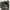 Code Graphy Nylon Relaxed Wide Cargo Pants Gorp Core Style photo 4