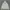 Hoodie Adidas three stripes second photo 1