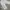 sweatpants white cream SZH photo 5