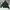 Windbreaker Parachute Jacket Running Nike T90 Unisex Jacket photo 9