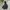 Nike ACG Gorpcore Windbreaker Pria black photo 3