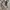 Celana cargo nylon super wide photo 5