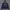 Hoodie GAP ziper second photo 1