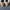 Nike AF1 Gore-tex photo 3