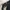 Daiwa Goretex DR-1807 Gorpcore Jacket Hitam photo 3