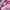 SNOZU SOFT SHELL KIDS SHERPA JACKET | JAKET ANAK | KDU 2 photo 3