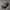 Vintage Timberland 3 Eyes Lug photo 5