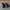 Vintage Timberland 3 Eyes Lug photo 3