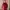 Jilbab Instan Maroon Elegan Full Payet & Mutiara photo 6