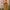 Jilbab Instan Mustard List Hitam Multifungsi – Bisa Jadi Cad photo 2