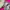 NIKE BIG SWOOSH BOMBER JACKET COLORBLOK BOOTLEG photo 6
