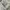 Jacket winter puffer goose down anak columbia omni head pink photo 4