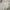 Jacket winter puffer goose down anak columbia omni head pink photo 1