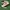 Adidas sl72  photo 1