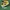 Adidas sl72 yellow  photo 1