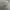 Real Madrid 2015/2026 Home Jersey