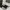 Armani	 Casual Suit Pria black gray photo 3