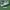 Adidas Munchen hazy green  photo 1