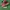 Adidas London 2019 photo 1