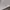 Samo ondoh belt bucket bag M savage cream photo 5