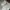 Samo ondoh belt bucket bag M savage cream photo 4