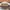 Michael Kors Casual Shoulder bag Wanita tan brown photo 5