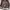 Michael Kors Casual Shoulder bag Wanita tan brown photo 7