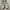 Converse shoreline white all star size 39 original 100% photo 1