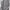 Luxury Casual Summer dress Wanita gray photo 2