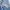 Shein Minimalist Casual Blazer Wanita blue photo 3