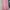 Dress pink lucuuuu photo 1