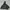 Head Outdoor Jacket (Softshell)