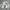 Polo Ralph Lauren Grunge Bomber Jacket Pria Gray