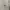 Polo Ralph Lauren Longsleeve Polo Shirt photo 8