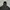 Neo Sixx Military Garments Field Jacket photo 5