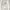 NIKE PRO TIGHT White Long T-shirt photo 7