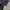 Carhartt Black Corduroy Big Pocket Cargo Pants photo 7