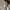 Baggy y2k long pants vintage ecko big pocket  photo 3