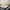 Adidas Y2K Sportswear Jersey Pria white photo 5