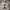 Adidas Y2K Sportswear Jersey Pria white photo 7